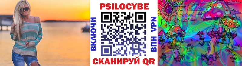 Галлюциногенные грибы Psilocybe  наркотики  Александровск-Сахалинский 